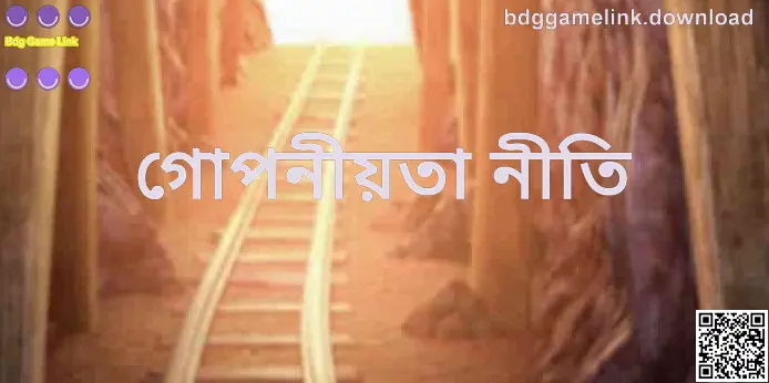 Bdg Game Link Privacy Policy Overview