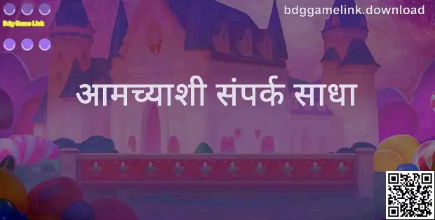 Bdg Game Link Contact Support